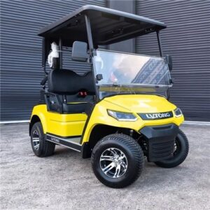 Electric Vehicles