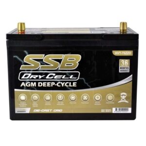 HVT-70ZZD Dual Purpose VRLA (AGM) Battery