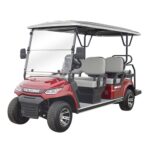 LVTong 6 Seater Electric Cart