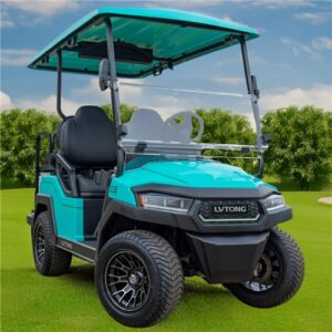 LVTong Eclipse 2 Seater Leisure Cart