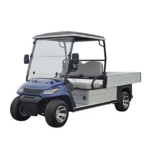 LVTong 2 Seater Long Wheel Base Utility Cart (Ute)