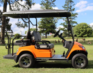 LVTong 4 Seater Electric Golf Cart