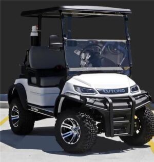 LVTong 2 Seater Lifted Electric Utility Cart