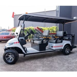 LVTong 2 Seater Medical Cart