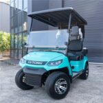LVTong 2 Seater Golf Cart