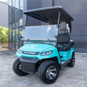 LVTong 2 Seater Golf Cart