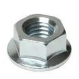 Steering Wheel Nut for ECAR (LT-A627.2)